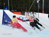 20120225 Ski Cross Goetschen (285).JPG