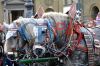 20120923 Schuetzen und Trachtenzug Oktoberfest (74).JPG