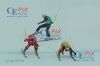 20130203 Skicross Weltcup Grasgehren (1241).JPG