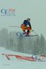 20130203 Skicross Weltcup Grasgehren (290).JPG