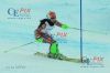 20130216 Slalom Damen WM Schladming 1 DG (2101).JPG