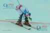 20130216 Slalom Damen WM Schladming 1 DG (489).JPG