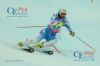 20130217 Slalom Herren WM Schladming 1 DG (523).JPG