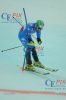 20130217 Slalom Herren WM Schladming 1 DG (555).JPG