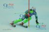 20130217 Slalom Herren WM Schladming 1 DG (689).JPG