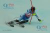 20130217 Slalom Herren WM Schladming 2 DG (557).JPG