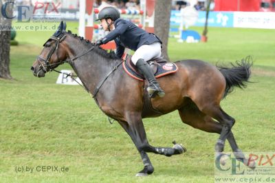 Klicken für Bild in voller Größe