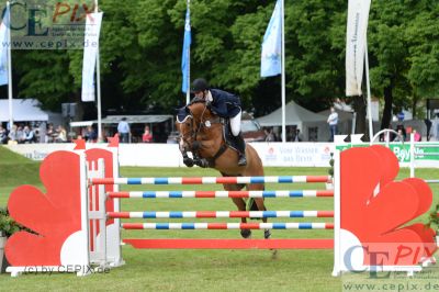 Klicken für Bild in voller Größe