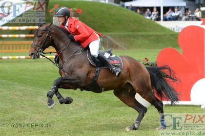Klicken für Bild in voller Größe
