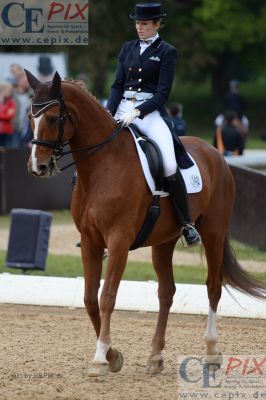 Klicken für Bild in voller Größe
