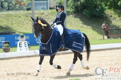 Klicken für Bild in voller Größe