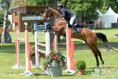 Klicken für Bild in voller Größe