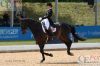 Dateiname=20140531 Pferd international (255).JPG
Dateigröße=442KB
Abmessungen: 800x533
hinzugefügt am: 31. Mai 2014 20140531 Pferd international (255).JPG