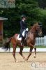 Dateiname=20140531 Pferd international (281).JPG
Dateigröße=446KB
Abmessungen: 533x800
hinzugefügt am: 31. Mai 2014 20140531 Pferd international (281).JPG