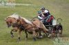 20140531 Pferd international (521).JPG