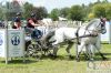 20140531 Pferd international (662).JPG