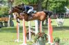 Dateiname=20140531 Pferd international (914).JPG
Dateigröße=499KB
Abmessungen: 800x533
hinzugefügt am: 31. Mai 2014 20140531 Pferd international (914).JPG
