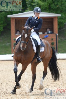 Klicken für Bild in voller Größe