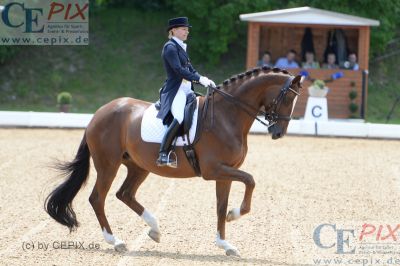 Klicken für Bild in voller Größe