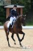 Dateiname=20140601 Pferd International Muenchen (1471).JPG
Dateigröße=383KB
Abmessungen: 533x800
hinzugefügt am: 02. Juni 2014 20140601 Pferd International Muenchen (1471).JPG