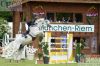20140601 Pferd International Muenchen (243).JPG