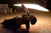 Dateiname=20150424_Feuershow_Fuego_de_la_Luna_in_Freising_2893129.JPG
Dateigröße=260KB
Abmessungen: 800x533
hinzugefügt am: 25. April 2015 20150424_Feuershow_Fuego_de_la_Luna_in_Freising_2893129.JPG