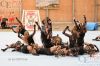 Dateiname=20150604_Bayerisches_Landesturnfest_Burghausen_28228829.JPG
Dateigröße=285KB
Abmessungen: 800x533
hinzugefügt am: 06. Juni 2015 20150604_Bayerisches_Landesturnfest_Burghausen_28228829.JPG
