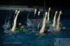 Dateiname=20151219_Wassershow_Aschenputtel_der_Isarnixen_im_Nordbad_Muenchen_28254629.JPG
Dateigröße=533KB
Abmessungen: 1200x800
hinzugefügt am: 20. Dezember 2015 20151219_Wassershow_Aschenputtel_der_Isarnixen_im_Nordbad_Muenchen_28254629.JPG