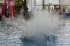 Dateiname=20160313_Wassersportfestival_Muenchen__-_4501_.JPG
Dateigröße=280KB
Abmessungen: 800x533
hinzugefügt am: 14. März 2016 20160313_Wassersportfestival_Muenchen__-_4501_.JPG