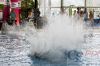 Dateiname=20160313_Wassersportfestival_Muenchen__-_4501__1.JPG
Dateigröße=262KB
Abmessungen: 800x534
hinzugefügt am: 14. März 2016 20160313_Wassersportfestival_Muenchen__-_4501__1.JPG