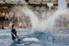 Dateiname=20160313_Wassersportfestival_Muenchen__-_4729__1.JPG
Dateigröße=277KB
Abmessungen: 800x534
hinzugefügt am: 14. März 2016 20160313_Wassersportfestival_Muenchen__-_4729__1.JPG