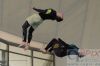 Dateiname=20160313_Wassersportfestival_Muenchen__-_5031_.JPG
Dateigröße=206KB
Abmessungen: 800x533
hinzugefügt am: 14. März 2016 20160313_Wassersportfestival_Muenchen__-_5031_.JPG