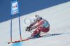 20160320_FIS_World_Cup_Finals_Slalom_Herren_und_Riesenslalom_Damen_-_10786_.JPG