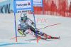 20160320_FIS_World_Cup_Finals_Slalom_Herren_und_Riesenslalom_Damen_-_10812_.JPG