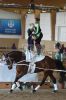 Dateiname=20160505_Pferd_International_Muenchen_Olympia_Reitanlage_-_125_.JPG
Dateigröße=263KB
Abmessungen: 533x800
hinzugefügt am: 05. Mai 2016 20160505_Pferd_International_Muenchen_Olympia_Reitanlage_-_125_.JPG