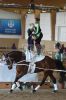 20160505_Pferd_International_Muenchen_Olympia_Reitanlage_-_125_.JPG