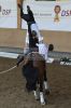 20160505_Pferd_International_Muenchen_Olympia_Reitanlage_-_145_.JPG