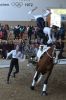 20160505_Pferd_International_Muenchen_Olympia_Reitanlage_-_155_.JPG