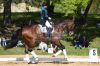 20160505_Pferd_International_Muenchen_Olympia_Reitanlage_-_241_.JPG