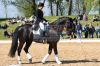 Dateiname=20160505_Pferd_International_Muenchen_Olympia_Reitanlage_-_262_.JPG
Dateigröße=329KB
Abmessungen: 800x533
hinzugefügt am: 05. Mai 2016 20160505_Pferd_International_Muenchen_Olympia_Reitanlage_-_262_.JPG