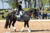 20160505_Pferd_International_Muenchen_Olympia_Reitanlage_-_262_.JPG