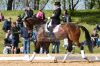 Dateiname=20160505_Pferd_International_Muenchen_Olympia_Reitanlage_-_283_.JPG
Dateigröße=344KB
Abmessungen: 800x533
hinzugefügt am: 05. Mai 2016 20160505_Pferd_International_Muenchen_Olympia_Reitanlage_-_283_.JPG