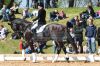 20160505_Pferd_International_Muenchen_Olympia_Reitanlage_-_314_.JPG