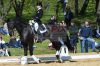 Dateiname=20160505_Pferd_International_Muenchen_Olympia_Reitanlage_-_335_.JPG
Dateigröße=309KB
Abmessungen: 800x533
hinzugefügt am: 05. Mai 2016 20160505_Pferd_International_Muenchen_Olympia_Reitanlage_-_335_.JPG