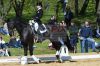 20160505_Pferd_International_Muenchen_Olympia_Reitanlage_-_335_.JPG