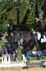 Dateiname=20160505_Pferd_International_Muenchen_Olympia_Reitanlage_-_341_.JPG
Dateigröße=301KB
Abmessungen: 534x800
hinzugefügt am: 05. Mai 2016 20160505_Pferd_International_Muenchen_Olympia_Reitanlage_-_341_.JPG