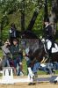 20160505_Pferd_International_Muenchen_Olympia_Reitanlage_-_341_.JPG