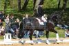 20160505_Pferd_International_Muenchen_Olympia_Reitanlage_-_356_.JPG