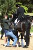 Dateiname=20160505_Pferd_International_Muenchen_Olympia_Reitanlage_-_381_.JPG
Dateigröße=281KB
Abmessungen: 533x800
hinzugefügt am: 05. Mai 2016 20160505_Pferd_International_Muenchen_Olympia_Reitanlage_-_381_.JPG