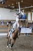 20160505_Pferd_International_Muenchen_Olympia_Reitanlage_-_42__1.JPG